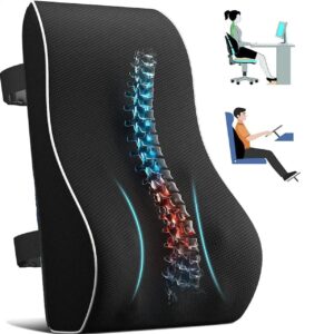Back Support For Chair & Car Seat
