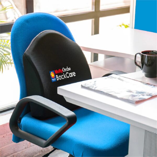 MoltyOrtho Back Care Cushion - Image 2
